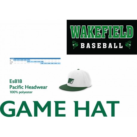 Wakefield Baseball Game Hats