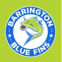 Blue Fins